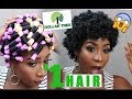 PERM ROD SET ON NATURAL HAIR USING $1 DOLLAR STORE HAIR PRODUCTS!! | I AM SHOOK!