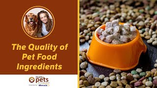 The Quality of Pet Food Ingredients (Part 1 of 2)