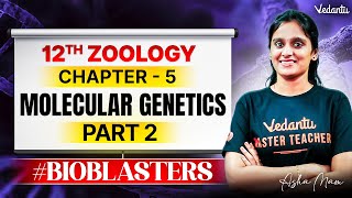 12th Zoology | Chapter 5 Molecular Genetics Part 2 | State Board | Asha Ma'am