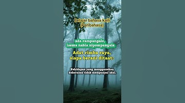 peribahasa menggunakan bahasa kaili #infopalu #palu #belajar #shorts