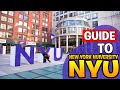 Guide to new york university  new york university campus tour