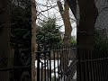 Jan 9 · Wintery Edinburgh #Edinburgh, #dailyvlog, #citylife, #slowtravel, #Scotland