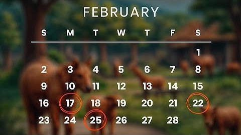 Zoo Airdrop Updates: Listing And Withdrawal Date || Why Your $Zoo Tokens Have Been Reduced