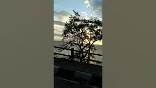 story WA - Andai Aku Bisa