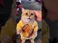 Unleash Your Creativity with the Dynamic AI Pet