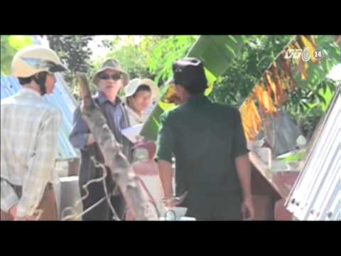 Video VTC14_Gia Lai: Chuyện đào mộ tìm gỗ sưa_22.12.2012 - youtube