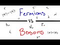 Whats the difference between fermions and bosons