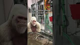 They never want to work any overtime! #construction #electrician #apprentice Wealth