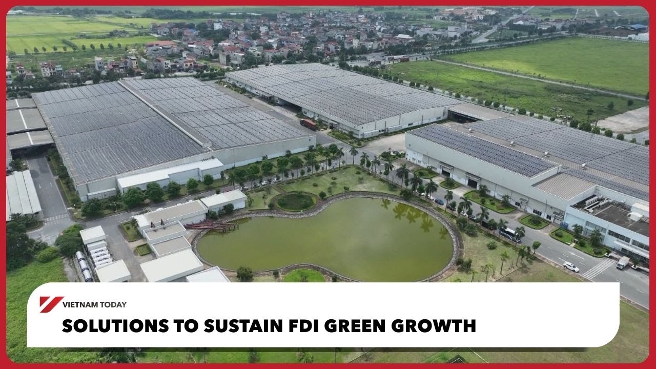 Решения для поддержания зеленого роста прямых иностранных инвестиций | Vietnam Today