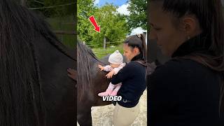 The Horse Met the Baby for the First Time 🐴👶 #horse