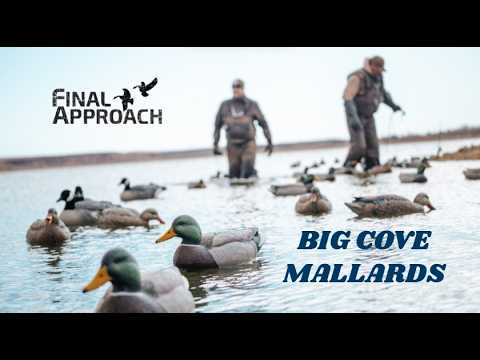 DUCK HUNTING-BIG COVE MALLARDS | SUNSHINE AND FUN! LAST PASS SEASON 6 EPISODE 2