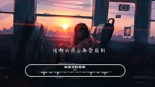 Video thumbnail of "布洛芬的悲伤 -任夏 -華語音樂"