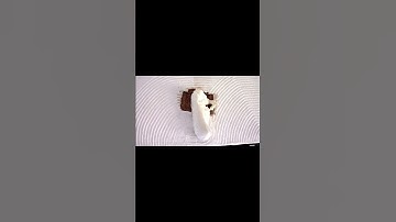 HOW TO USE EXPANDING FOAM FILLER