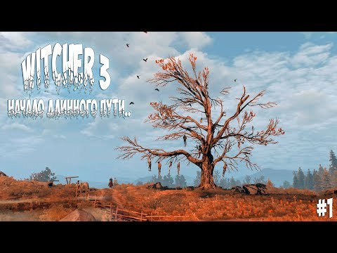 WITCHER 3 | Начало длинного пути ► #1