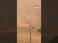 🔴 Grèce : des chevaux tentent de fuir un incendie au nord d'Athènes｜TF1 INFO