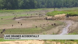 Lake accidently drained kills hundreds of fish inside
