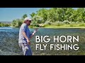 Epic Big Horn Dry & Nymph Fishing | Montana