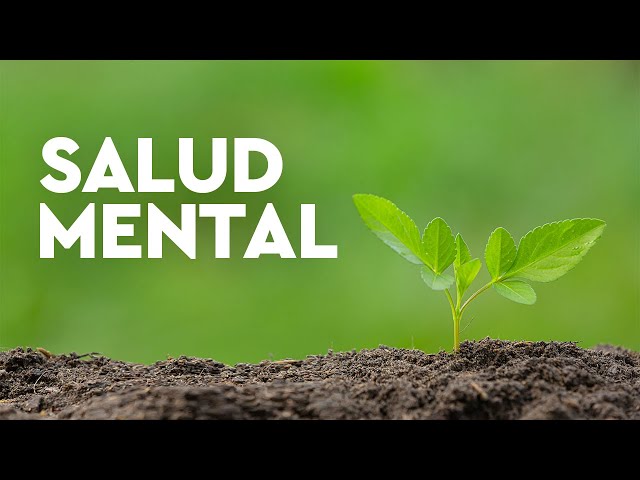 ¿Qué puede hacer una persona todos los días para mejorar su salud mental? content media