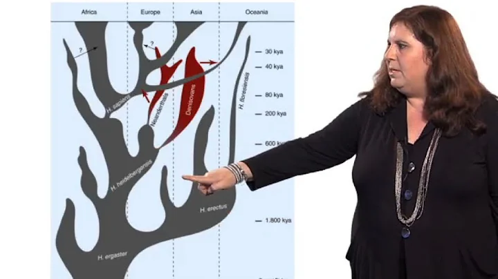 Evolutionary Analysis Using Ancient DNA - Sarah Ti...