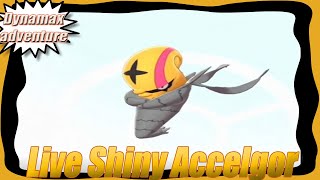 Live Shiny Accelgor - Dynamax adventures - Crown Tundra - Pokemon Shield
