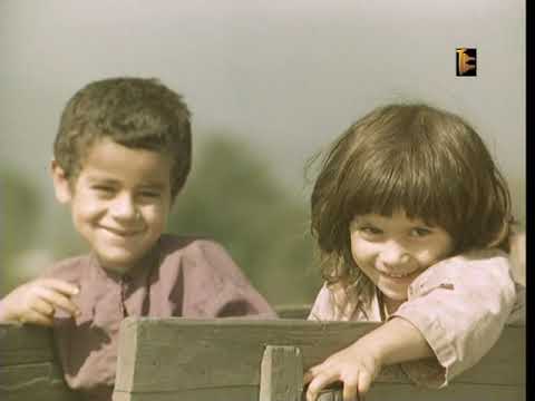 Ballad of Tara 1979