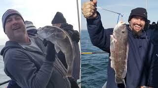 Tautog "Black Fishing" on The Middlebank