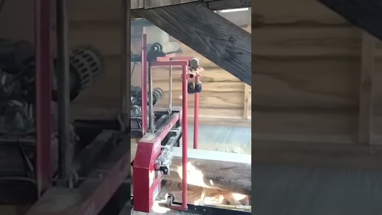 ​Why Civil War Cannons Used the TOUGHEST Wood on Earth: locust #hardwood #adirondacks #cannon