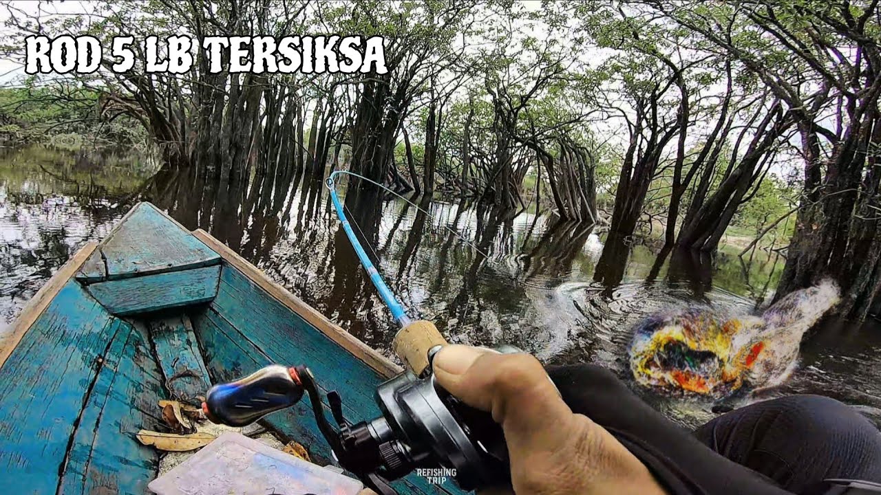 TENAGA NYA LUAR BIASA ‼️ STREEM ROD 5 LB TERSIKSA