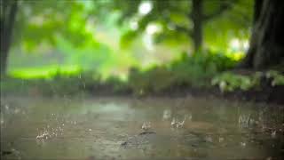 Relaksasi Suara Hujan Pengantar Tidur - Rain Sound For Sleeping | 1 Hour