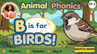 Bird Phonics for Kids | Spell bird names & learn bird Sound!🦉 #animalphonics 