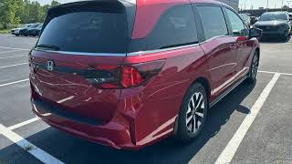2026 Honda Odyssey Lima Findlay OH