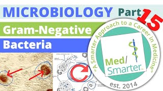 Gram-Negative Bacteria | Microbiology | USMLE STEP 1 | Pt 15