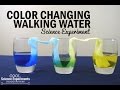 Color Changing Walking Water Science Experiment