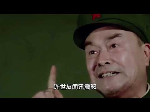 假如許世友的兩套作戰方案得到採納，估計越南歷史會被重寫。#歷史科普 #近代史#歷史#許世友 #越南戰