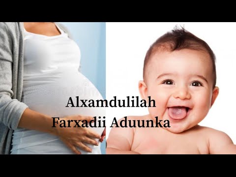 ALXAMDULILAH FARAXADII AAD LANA RABTEEN ALLAH WANA SIIYEY IAM PREGNANCY 🫄