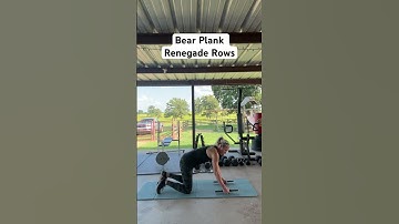 Bear Plank Renegade Rows