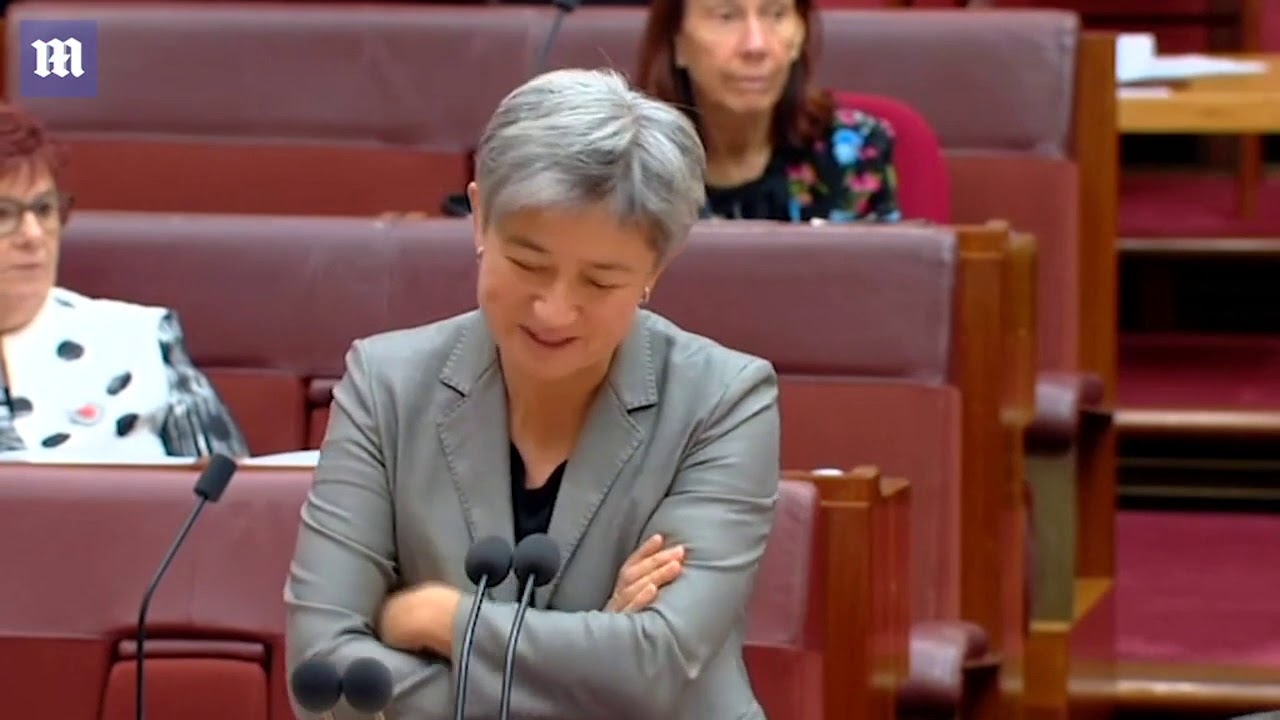 Defence Minister Linda Reynolds breaks down in tears in the Senate