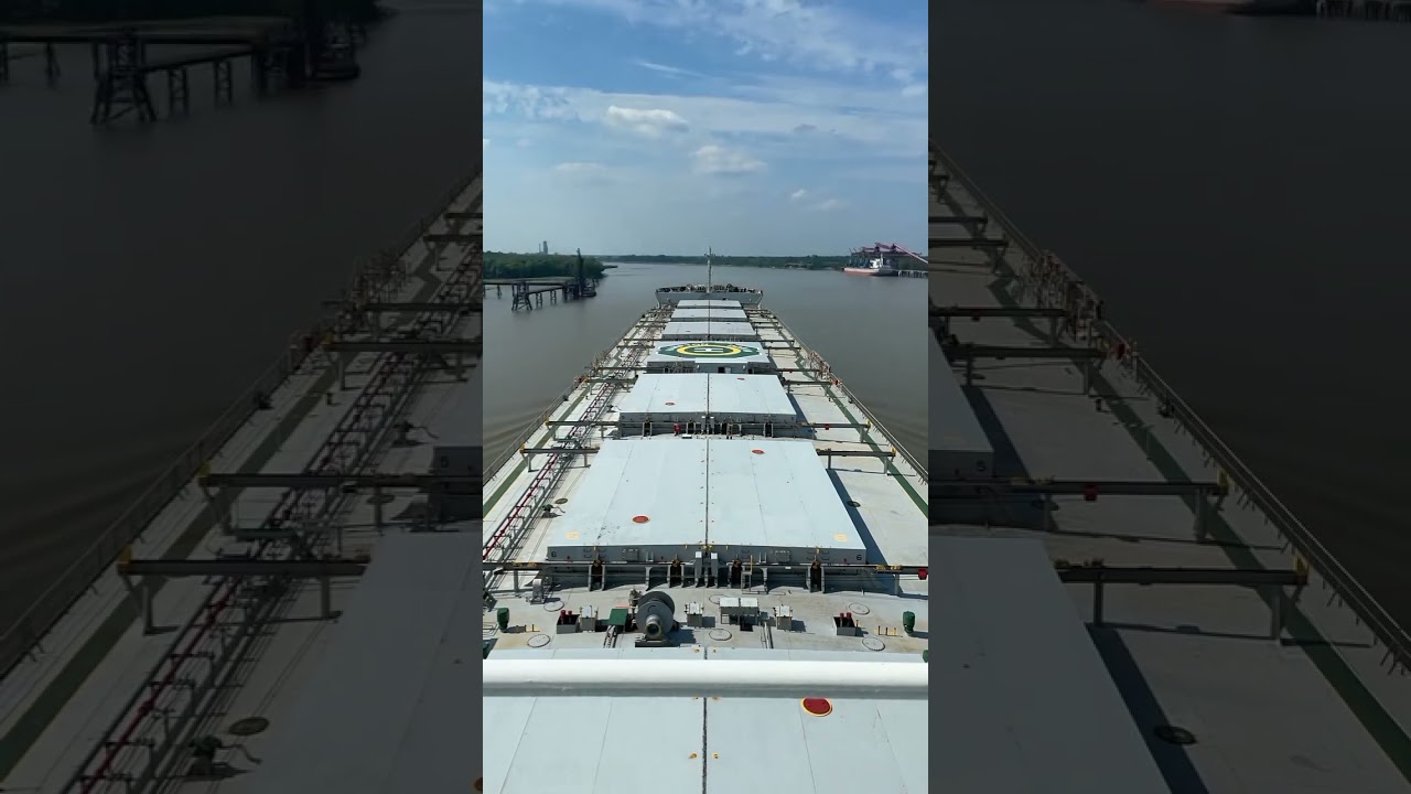 Zen-Noh Grain Terminal, Japan⚓🚢