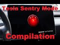 Tesla Sentry Mode Caught Compilation!