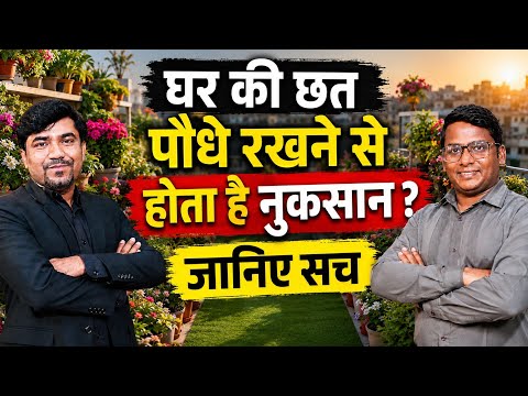 According to Vastu experts, does keeping plants on the roof make women sick? Let's Garden