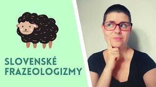 Slovenské frazeologizmy (15 Slovak Idioms Explained in Easy Slovak)