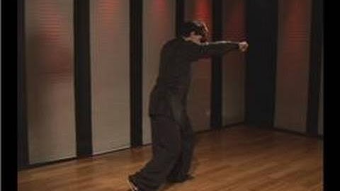 Kung Fu Fighting : Praying Mantis Outside Palm Block Grab Twisting Elbow