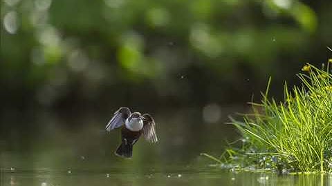 ❤ صوت يأخذك في عالم اخر , سبحانه من رزقه هذا الصوت  ❤جميع التلاوات ❤