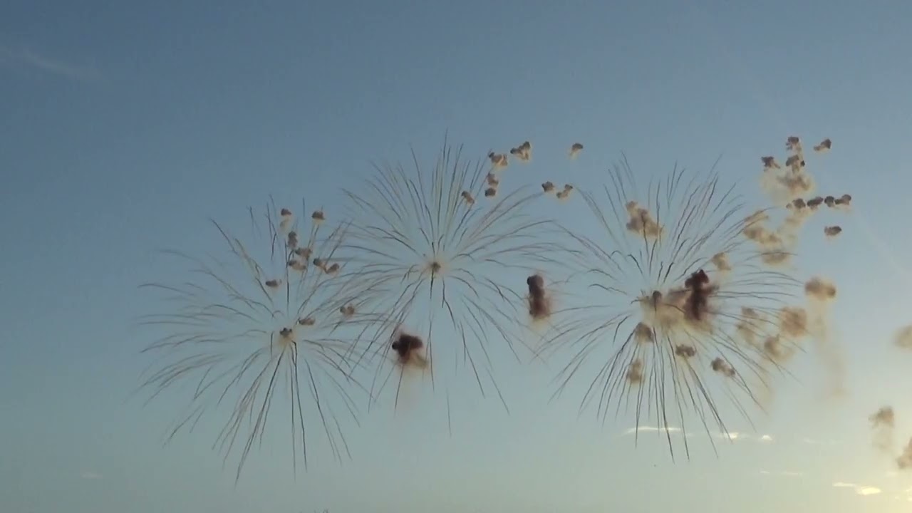 NOVOLI (Le) Sant' antonio abate 2026 - COLANGELO FIREWORKS