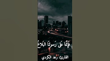 قرآن كريم بصوت القارئ: رعد الكردي || أجمل حالات واتس اب دينيه || تلاوة خاشعة 🌿