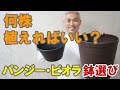 どう選べばいいの？パンジー・ビオラの苗を植えるプランターの大きさ