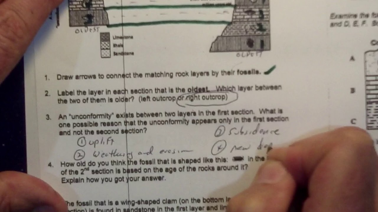 April 22nd: Correlating Rock Layers Using Index Fossils - YouTube april-22nd-correlating-rock-layers-using-index-fossils-youtube