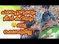 കടുവയുടെ മുന്നിൽ എങ്ങാനും പെട്ടാൽ 😳/Kaduvayude മുന്നിൽ engaanum pettaal😳@Dhilu's world