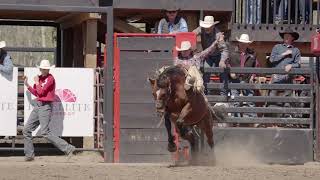 Saddle Bronc Riding - Buffalo Lake Métis Settlement - Gateway To The North Pro Rodeo