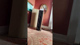 Sound Society HiFi Show Denmark 2023 #HiFi #audio #loudspeakers #highendaudio #speakers
